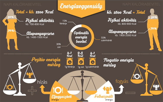 Energiaegyensúly infografika