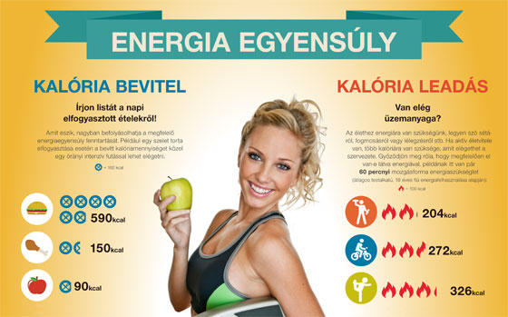 Energiaegyensúly infografika