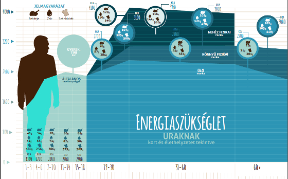 Energiaszükséglet férfiaknak