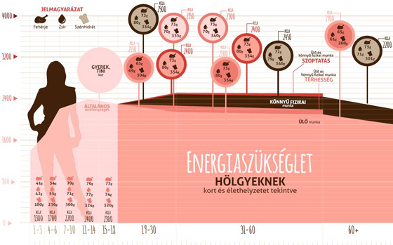 Energiaszükséglet nőknek