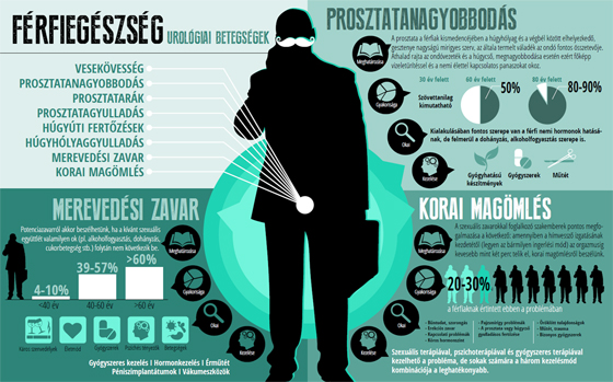 Férfiegészség infografika