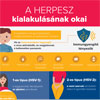 A herpesz kialakulásának okai (infografika)