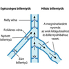 Egészséges és hibás vénabillentyűk