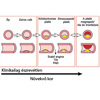 Érelmeszesedés és trombózis