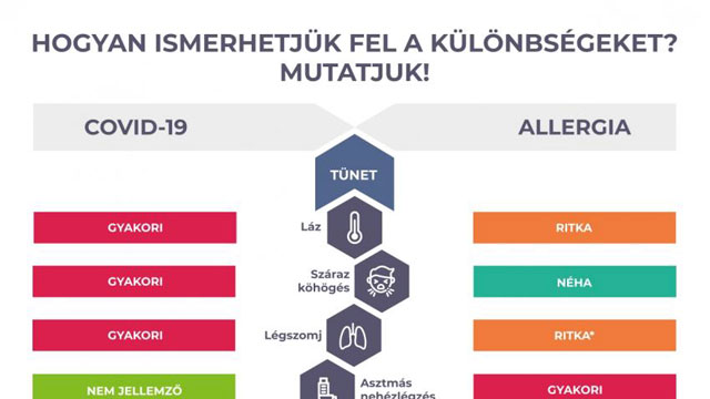Koronavírus vagy pollenallergia? - A jellemző tünetek