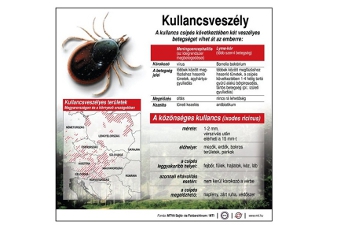 Index - Gazdaság - Jövőre már érkezik a havi nyugdíj egynegyede is