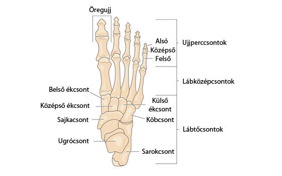 fájdalom a láb ízületei a bal oldalon lévő összes ízület fáj
