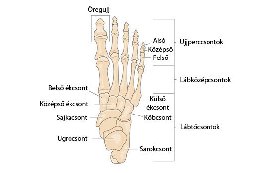 ízületi fájdalom a középső lábujjon