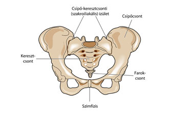 perineurális