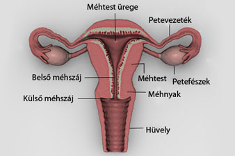 a gyógyszeres kezelés a cukorbetegség kezelés cukorbetegség