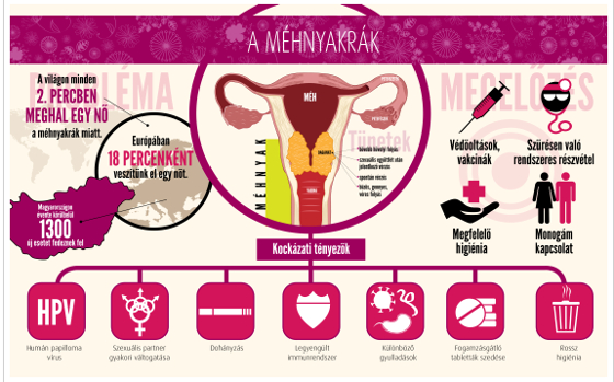 Méhnyakrák infografika