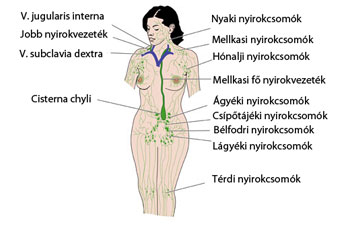 Fogyás nyirokcsomó duzzanat fáradtság, Fogyás duzzadt nyirokcsomók fáradtság