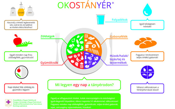 OKOSTÁNYÉR® - Új magyar táplálkozási ajánlás Miből mennyit együnk naponta egészségünk érdekében?
