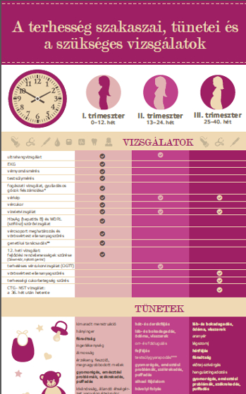 4 hetes terhesség jelei gyakori kérdések)