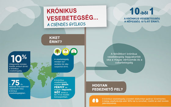 Vesebetegségek infografika