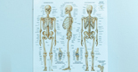 Osteopetrosis