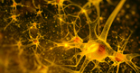 Diabéteszes neuropátia