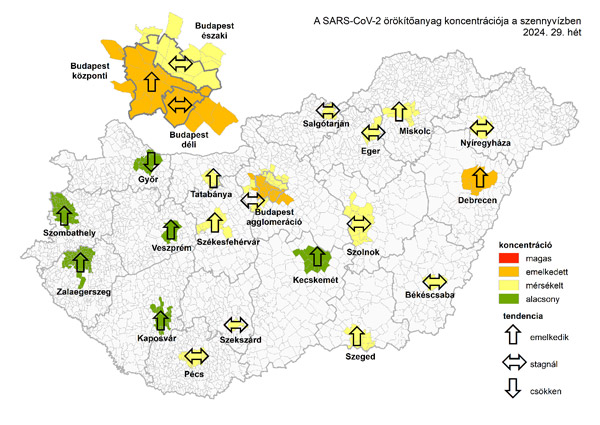 Covid a szennyvízben 2024. 07. 25.