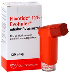 Flixotide Evohaler 125 dobozkép