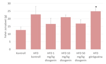 A diosgenin és görögszéna mag hatása a fehér zsírszövet mennyiségére