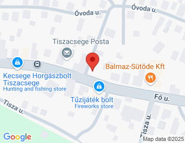 4066 Tiszacsege Fő u. 29.