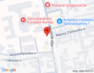 3980 Sátoraljaújhely Mártírok u. 9.