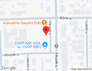 4400 Nyíregyháza Fészek u. 139.