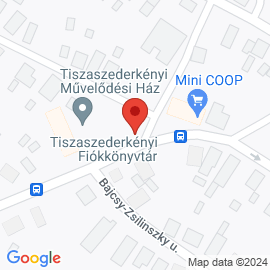 3580 Tiszaújváros Ady Endre u. 1.