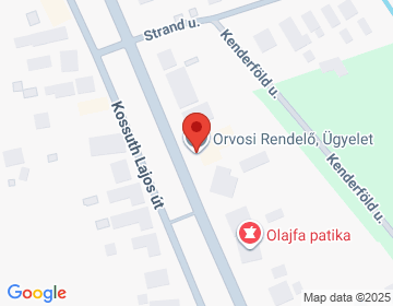 5430 Tiszaföldvár Kossuth Lajos út 165.