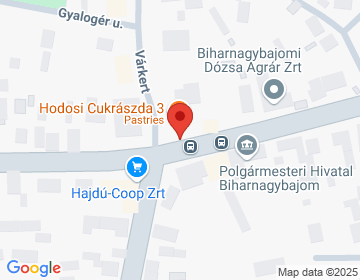 4172 Biharnagybajom Rákóczi u. 2.