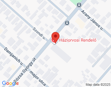 2220 Vecsés, Dózsa György út 50.