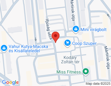 2800 Tatabánya Kodály Zoltán tér 4.