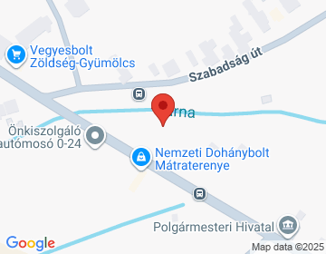 3145 Mátraterenye Kossuth Lajos út 293.