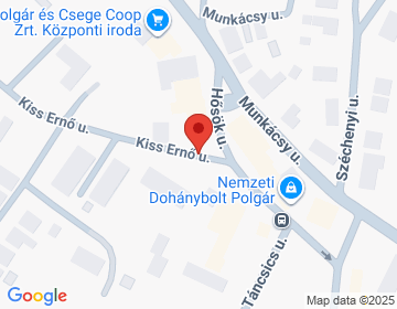4090 Polgár Kiss Ernő u. 8.
