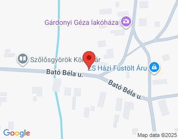 8692 Szőlősgyörök Petőfi S. u. 48.
