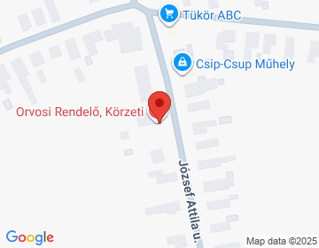 8161 Ősi József Attila u. 54.