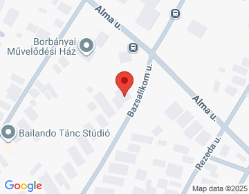 4405 Nyíregyháza Bazsalikom 1/1.