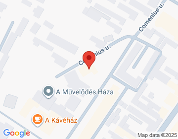 3950 Sárospatak Comenius u. 20.