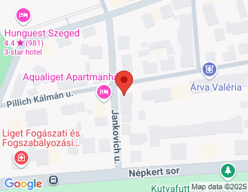 6726 Szeged Pillich 13/a