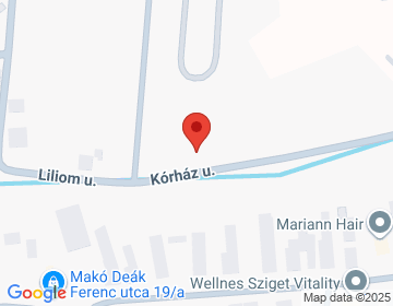 6900 Makó Hollósy Kornélia u. 2/a