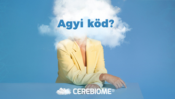 agyi köd és női alak