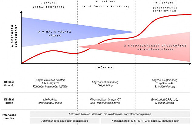 Citokinvihar klinikai fázisok