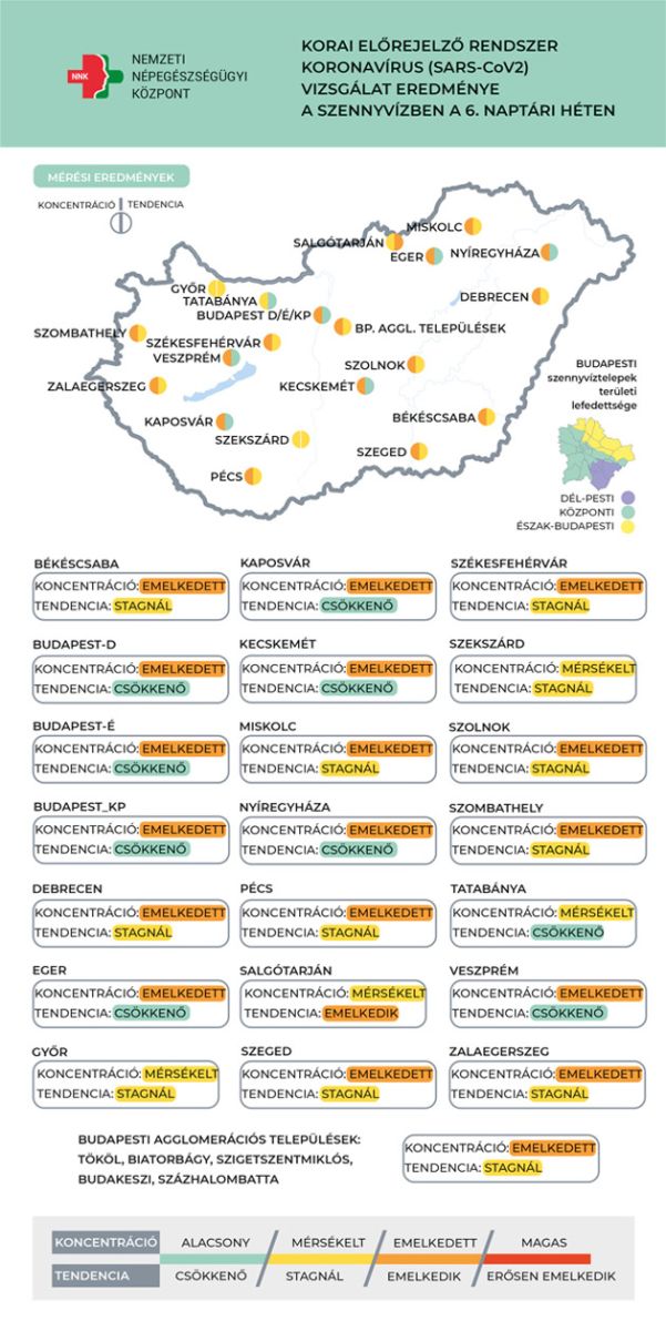 Koronavírus örökítőanyag, 2023.02.15.