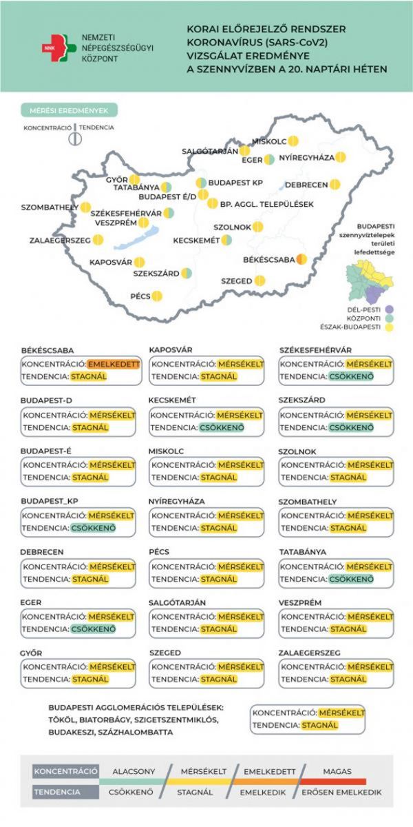 Örökítőanyag koncentráció, 2022.05.24.