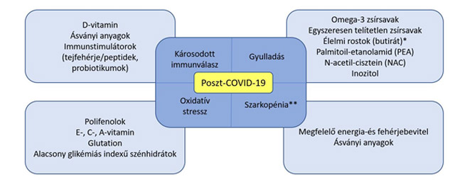 Poszt-Covid táplálkozás