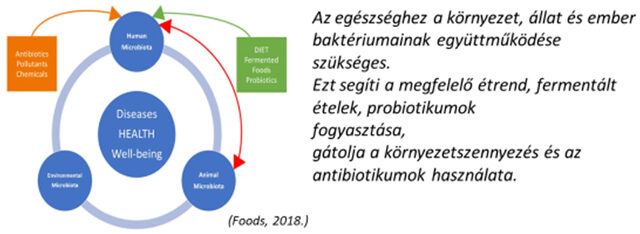 Egy az Egészség