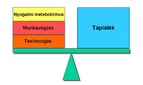 étkezés és mozgás egyensúlya