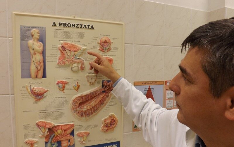prosztata daganat teszt amelyből a prosztatitis eszik