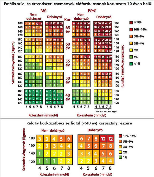 Halálos szív- és érrendszeri események előfordulásának kockázata 10 éven belül, Kép forrása: VII. Magyar Kardiovaszkuláris Konszenzus Konferencia 2017.