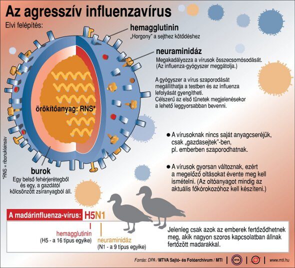 influenza